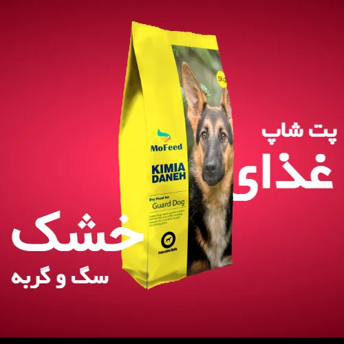 غذاهای خشک سگ