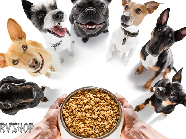 نیازهای تغذیه ای نژادهای مختلف سگ