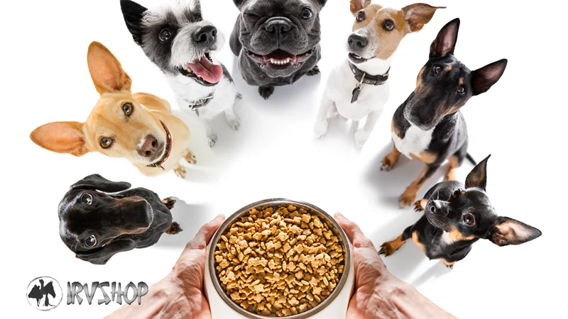 نیازهای تغذیه ای نژادهای مختلف سگ